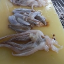 こっくり美味しい イカと大根のふ煮 わた煮 レシピ 作り方 By 夏はぜ 楽天レシピ こっくり美味しい イカと大根のふ煮 わた煮 レシピ 作り方 By 夏はぜ 楽天レシピ